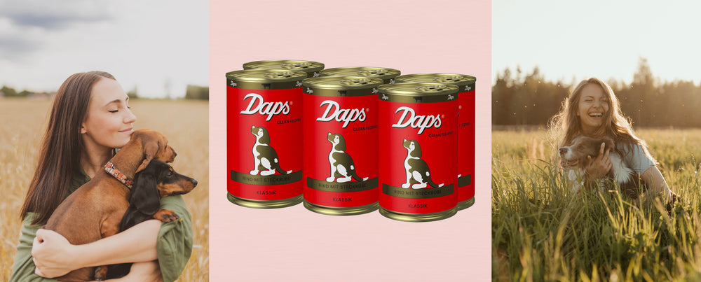 DAPS Sparpakete
