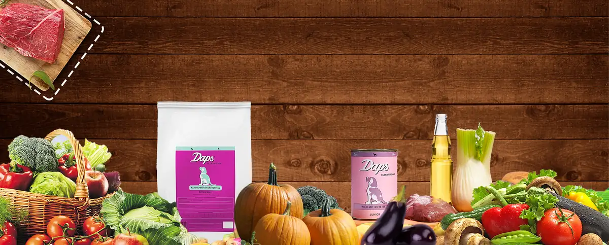 DAPS Clean Feeding · Hundefutter mit frischem Gemüse, Pakete und Dosen auf Holzhintergrund